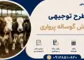 طرح پرورش گوساله پرواری