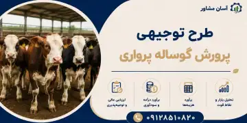 طرح پرورش گوساله پرواری