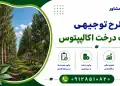 طرح کاشت درخت اکالیپتوس