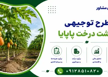 طرح کاشت درخت پاپایا