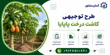 طرح کاشت درخت پاپایا