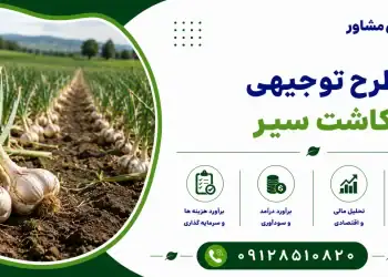 طرح کاشت سیر