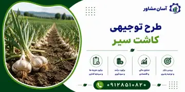 طرح کاشت سیر