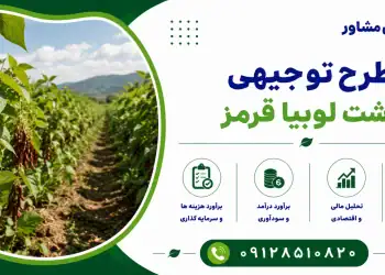 طرح کشت لوبیا قرمز