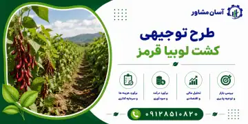 طرح کشت لوبیا قرمز