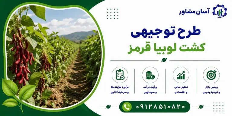 طرح کشت لوبیا قرمز