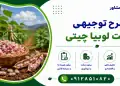 طرح کشت لوبیا چیتی