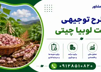 طرح کشت لوبیا چیتی