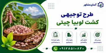 طرح کشت لوبیا چیتی