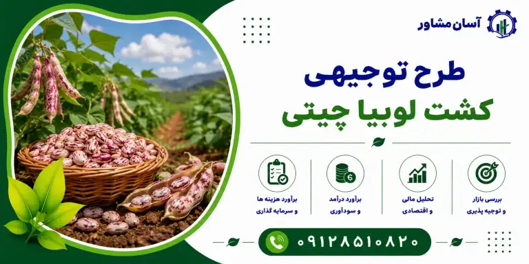 طرح کشت لوبیا چیتی