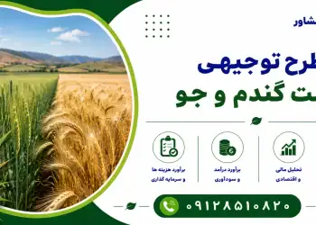طرح کشت گندم و جو