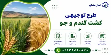 طرح کشت گندم و جو