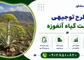 طرح کشت گیاه آنغوزه