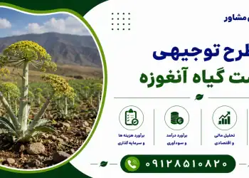 طرح کشت گیاه آنغوزه