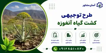 طرح کشت گیاه آنغوزه