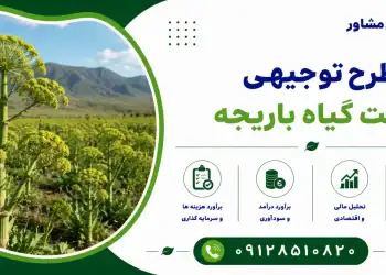 طرح کشت گیاه باریجه