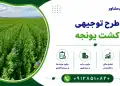 طرح کشت یونجه
