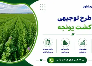 طرح کشت یونجه