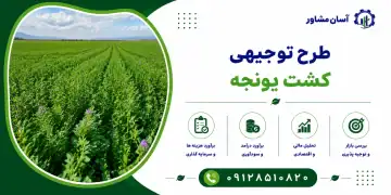 طرح کشت یونجه