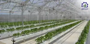 فرآیند ساختن گلخانه هیدروپونیک