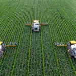 ۵ ایده نوآورانه کسب‌ و کار در کشاورزی هوشمند