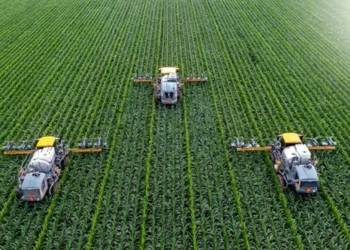 ۵ ایده نوآورانه کسب‌ و کار در کشاورزی هوشمند