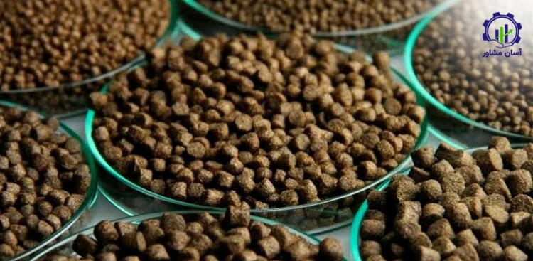 بررسی بازار داخلی و خارجی تولید خوراک آبزیان