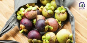 بررسی بازار داخلی و خارجی میوه منگوستین