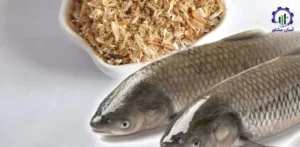 بررسی بازار داخلی و خارجی پودر ماهی