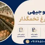 طرح پرورش مرغ تخمگذار