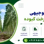 طرح کاشت درخت کبوده