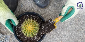 بررسی تجهیزات و تأسیسات احداث فارم پرورش کاکتوس آپونتیا