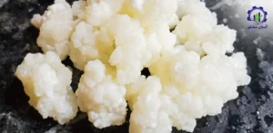 بررسی تجهیزات و تأسیسات احداث واحد پرورش قارچ کفیر خوراکی