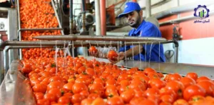 بررسی تجهیزات و تأسیسات خط تولید رب گوجه فرنگی