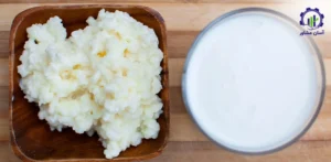 مراحل پرورش قارچ کفیر خوراکی؛ از آماده سازی بستر تخمیر تا تکثیر و برداشت دانه کفیر