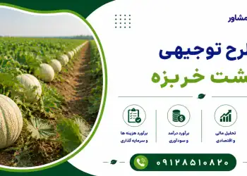 طرح کشت خربزه
