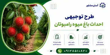 طرح احداث باغ میوه رامبوتان