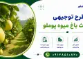 طرح احداث باغ میوه پوملو
