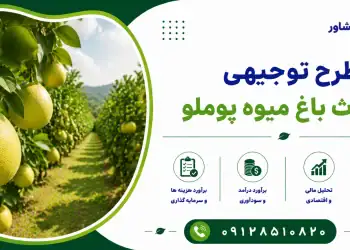 طرح احداث باغ میوه پوملو
