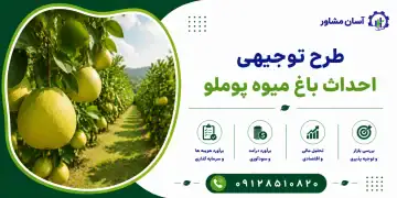 طرح احداث باغ میوه پوملو