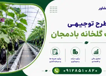 طرح احداث گلخانه بادمجان