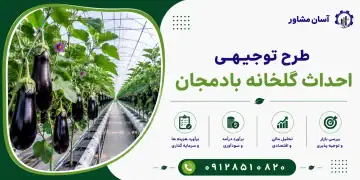 طرح احداث گلخانه بادمجان