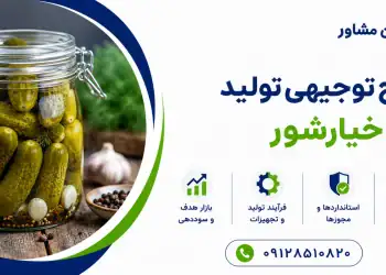 طرح تولید خیارشور