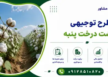 طرح کاشت درخت پنبه