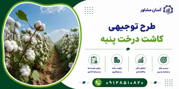 طرح کاشت درخت پنبه