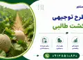 طرح تولید نخ فاستونی