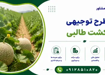 طرح تولید نخ فاستونی