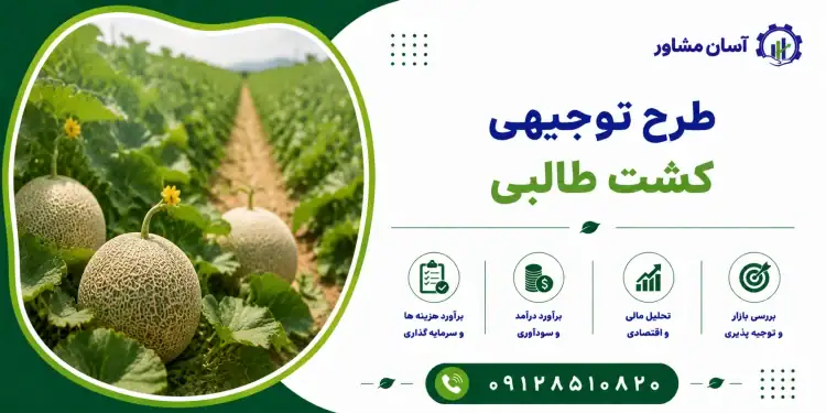 طرح تولید نخ فاستونی
