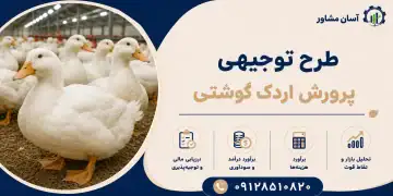 طرح پرورش اردک گوشتی