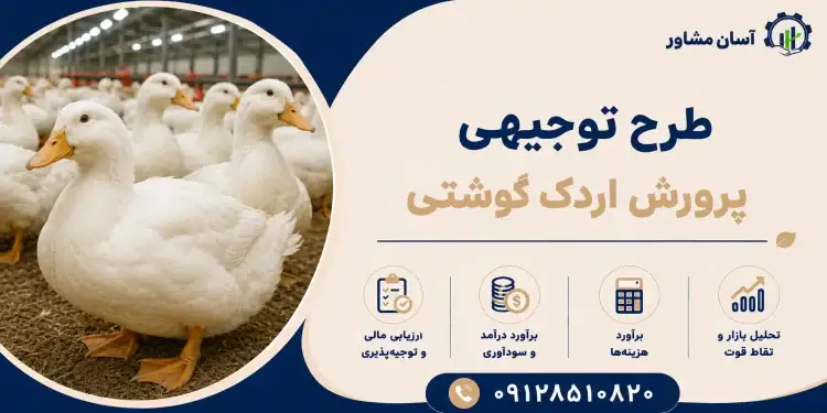 طرح پرورش اردک گوشتی